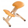 Chaise Ergonomique