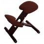 Chaise Ergonomique