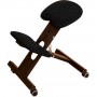 Chaise Ergonomique