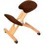 Chaise Ergonomique