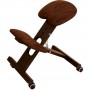 Chaise Ergonomique