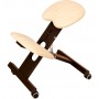 Chaise Ergonomique