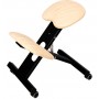 Chaise Ergonomique