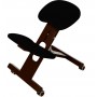Chaise Ergonomique