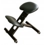 Chaise Ergonomique