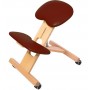 Chaise Ergonomique