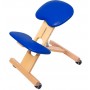 Chaise Ergonomique