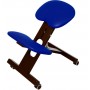 Chaise Ergonomique