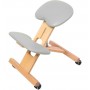 Chaise Ergonomique