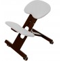 Chaise Ergonomique