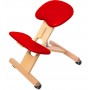 Chaise Ergonomique