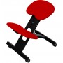 Chaise Ergonomique