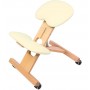 Chaise Ergonomique