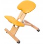 Chaise Ergonomique