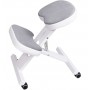 Siège Assis Ergonomique