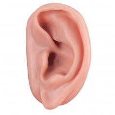 Acupuncture de l'oreille, gauche