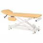 Table ostéo électrique 2 plans Ecopostural C7535