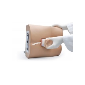 Simulateur de Ponction Lombaire Erler Zimmer R11030