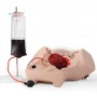 Simulateur d'hémorragie du postpartum - PPH Trainer P97