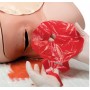 Simulateur d'hémorragie du postpartum - PPH Trainer P97