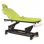 Table électrique 2 plans châssis noir Ecopostural