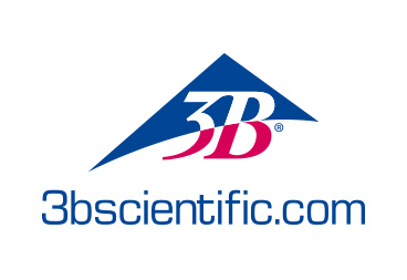 3b scientific
