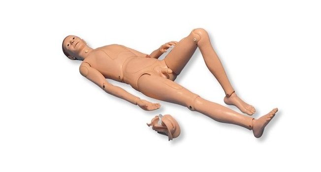 mannequin 3b scientific