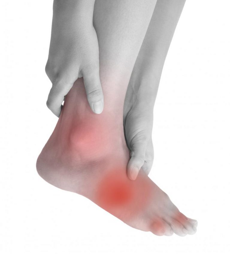 Squelette du pied Anatomie et douleurs Squelette du pied Anatomie et douleurs