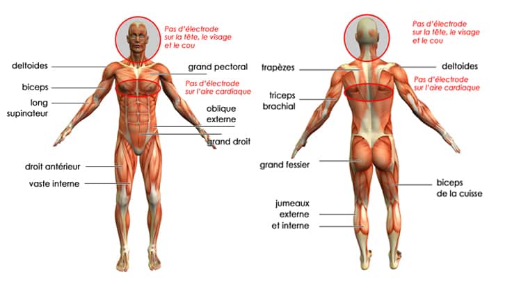 Stimulateur Musculaire Avec Électrodes, Le Masseur Sur Les Fesses