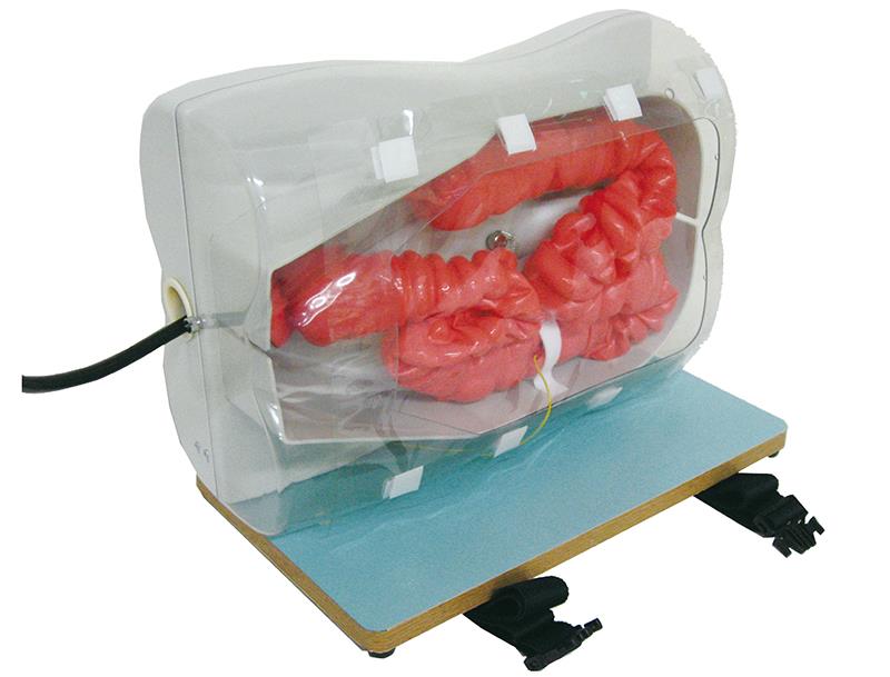 Simulateur pour la coloscopie
Référence LM107