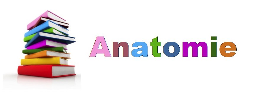 Liste riche de livres sur l'anatomie du corps humain