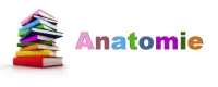 Liste riche de livres sur l'anatomie du corps humain