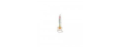 Colonne vertébrale 3B Scientific