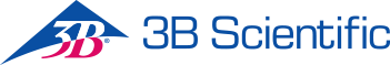 3b.png